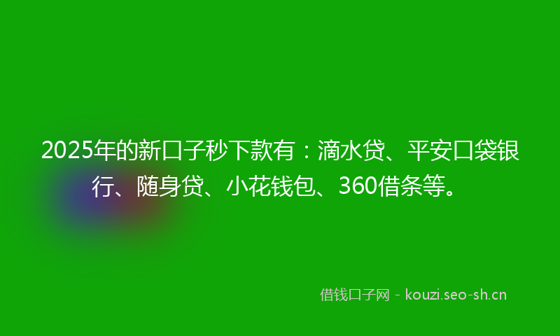 2025年的新口子秒下款有：滴水贷、平安口袋银行、随身贷、小花钱包、360借条等。