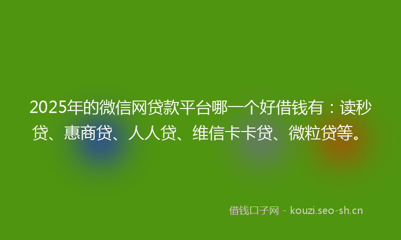 2025年的微信网贷款平台哪一个好借钱有：读秒贷、惠商贷、人人贷、维信卡卡贷、微粒贷等。