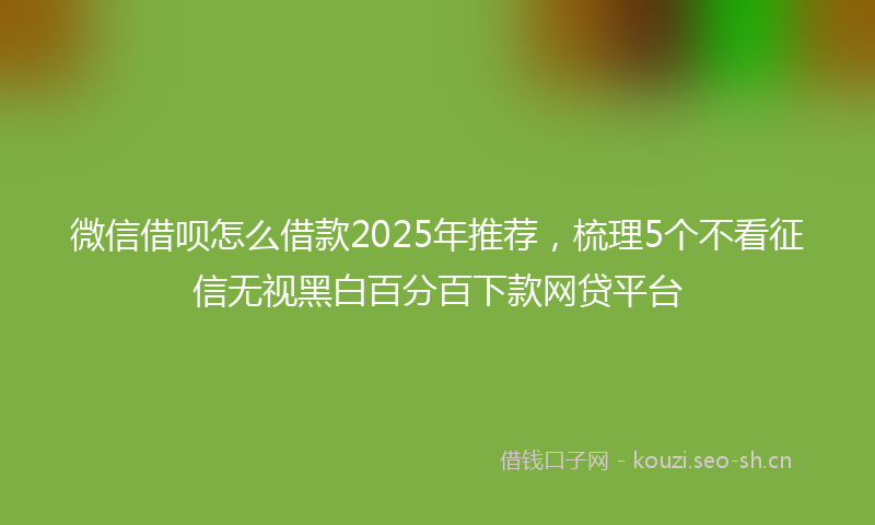 微信借呗怎么借款2025年推荐，梳理5个不看征信无视黑白百分百下款网贷平台