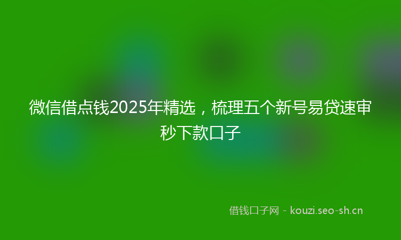 微信借点钱2025年精选，梳理五个新号易贷速审秒下款口子