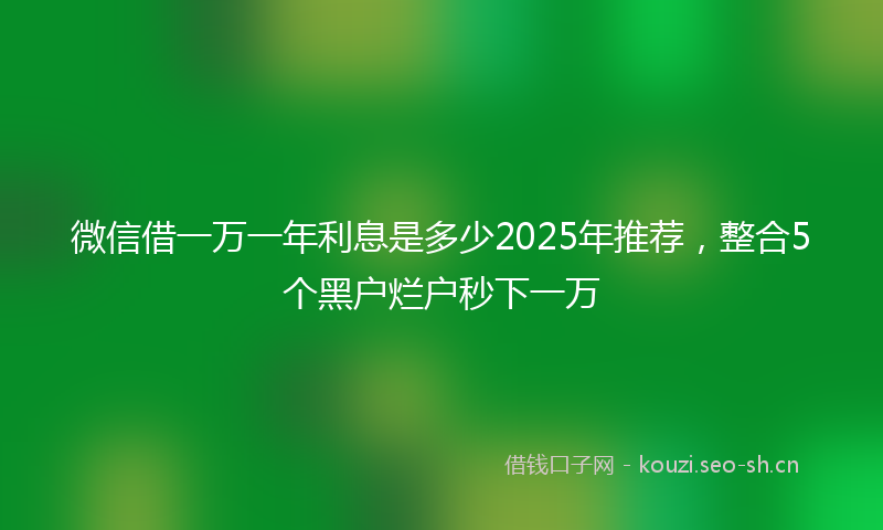 微信借一万一年利息是多少2025年推荐,整合5个黑户烂户秒下一万