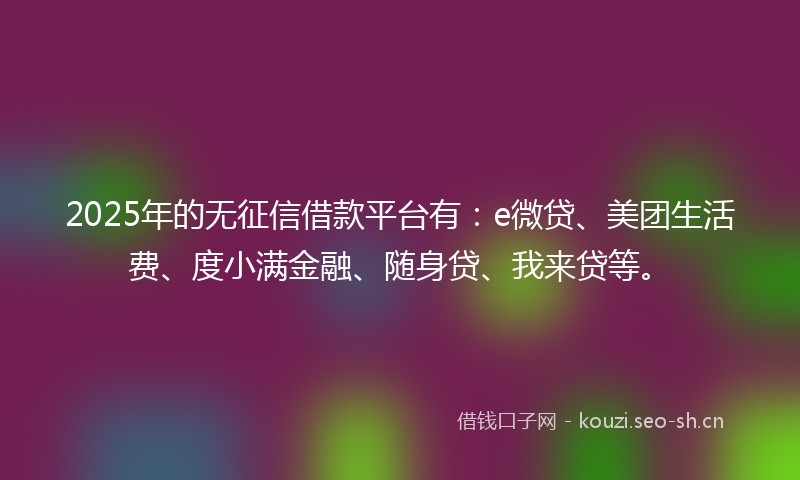 2025年的无征信借款平台有：e微贷、美团生活费、度小满金融、随身贷、我来贷等。