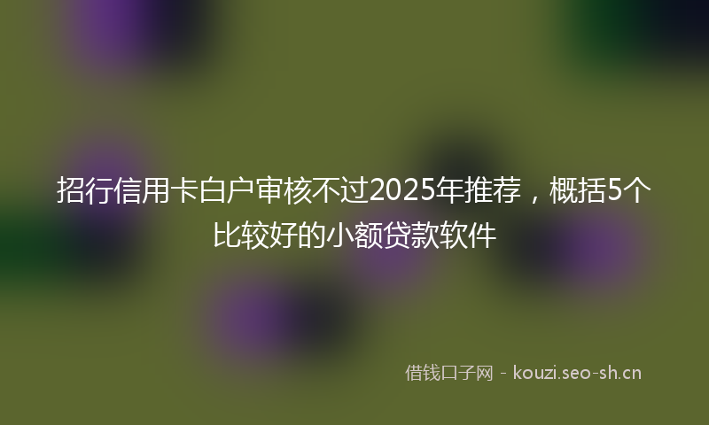 招行信用卡白户审核不过2025年推荐，概括5个比较好的小额贷款软件