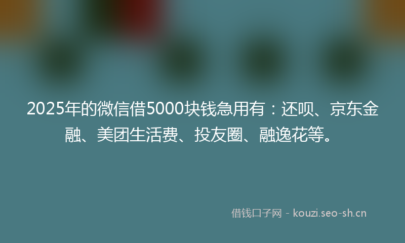 2025年的微信借5000块钱急用有：还呗、京东金融、美团生活费、投友圈、融逸花等。