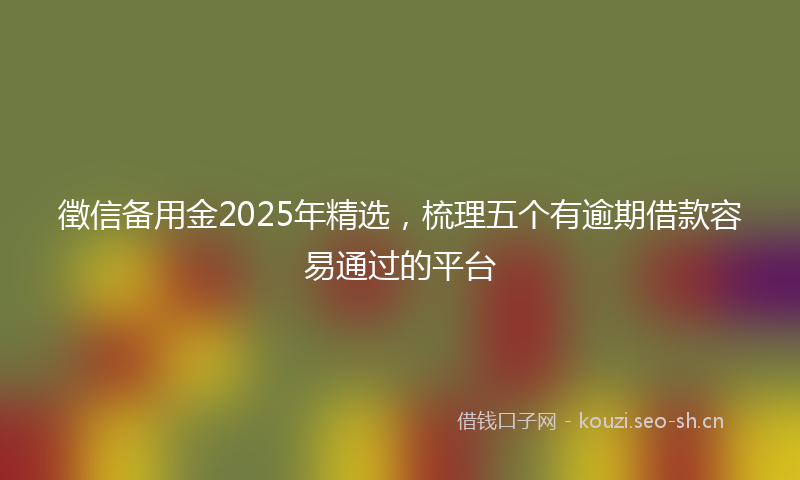 徵信备用金2025年精选，梳理五个有逾期借款容易通过的平台