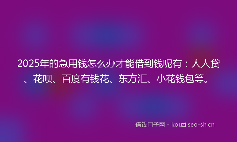 2025年的急用钱怎么办才能借到钱呢有：人人贷、花呗、百度有钱花、东方汇、小花钱包等。
