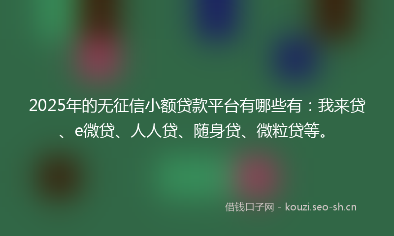 2025年的无征信小额贷款平台有哪些有：我来贷、e微贷、人人贷、随身贷、微粒贷等。