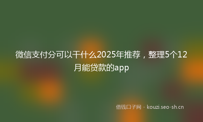 微信支付分可以干什么2025年推荐，整理5个12月能贷款的app