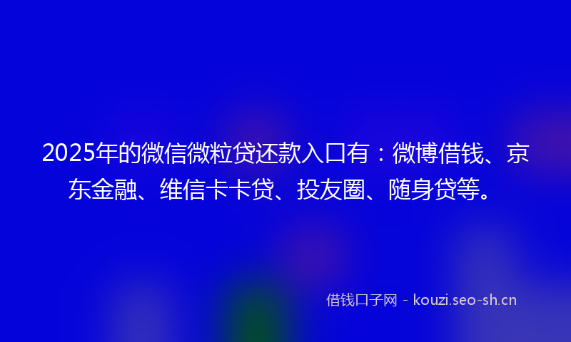 2025年的微信微粒贷还款入口有：微博借钱、京东金融、维信卡卡贷、投友圈、随身贷等。