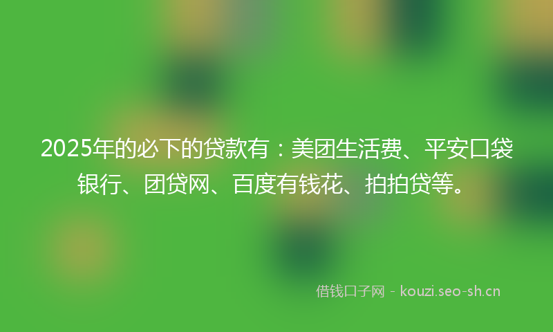 2025年的必下的贷款有：美团生活费、平安口袋银行、团贷网、百度有钱花、拍拍贷等。