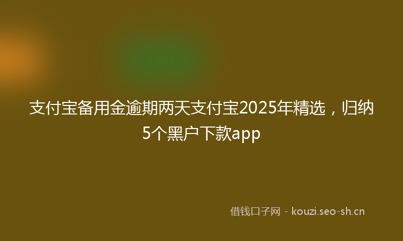 支付宝备用金逾期两天支付宝2025年精选，归纳5个黑户下款app