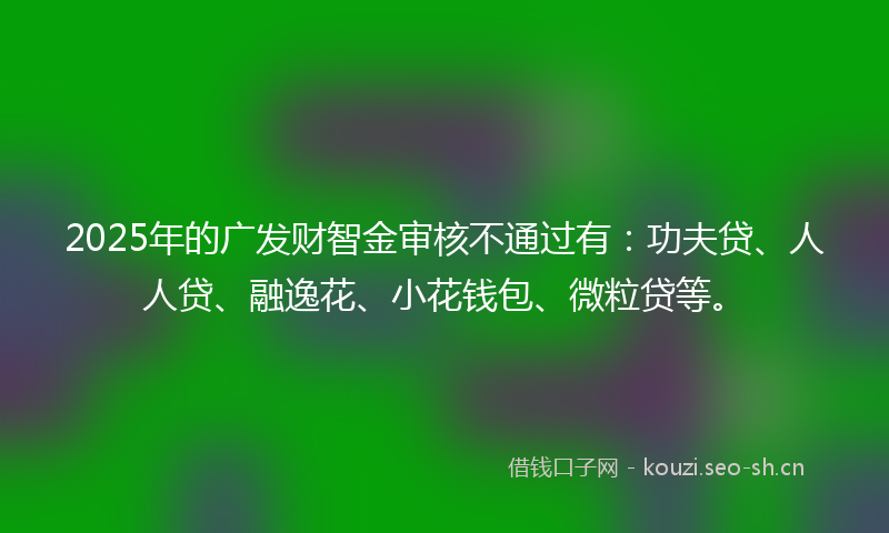 2025年的广发财智金审核不通过有：功夫贷、人人贷、融逸花、小花钱包、微粒贷等。
