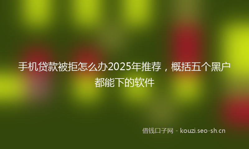 手机贷款被拒怎么办2025年推荐，概括五个黑户都能下的软件