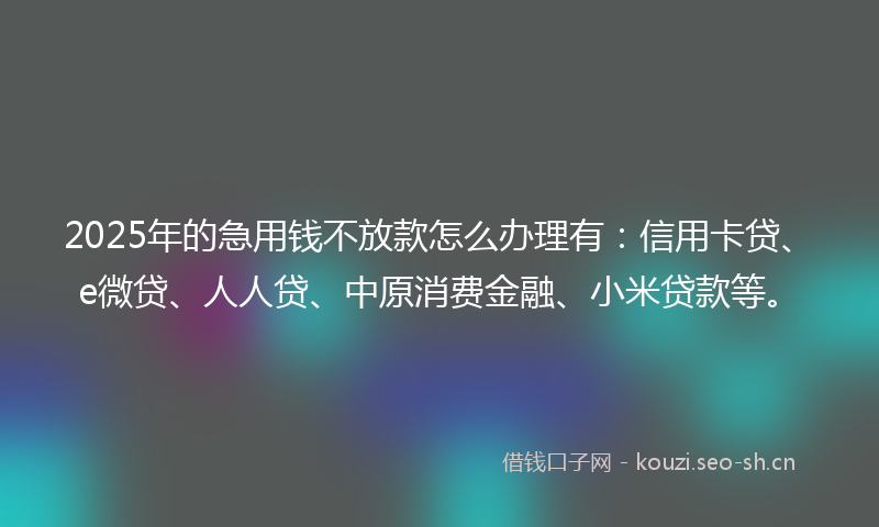 2025年的急用钱不放款怎么办理有：信用卡贷、e微贷、人人贷、中原消费金融、小米贷款等。