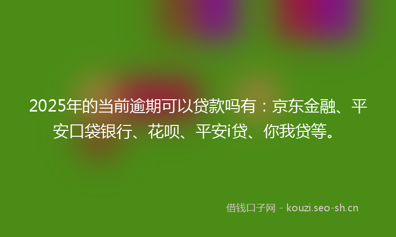 2025年的当前逾期可以贷款吗有：京东金融、平安口袋银行、花呗、平安i贷、你我贷等。