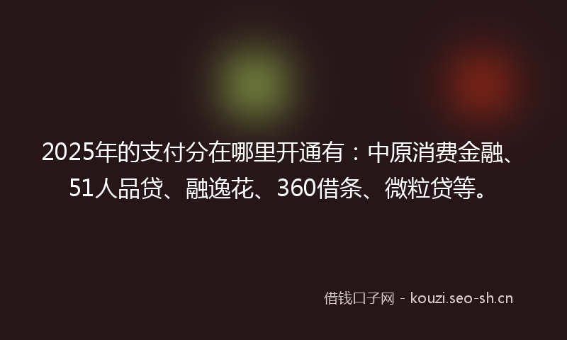 2025年的支付分在哪里开通有：中原消费金融、51人品贷、融逸花、360借条、微粒贷等。