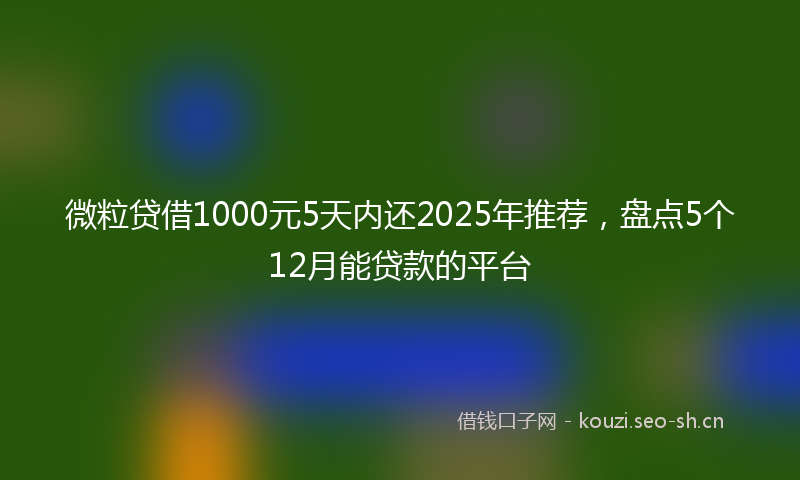 微粒贷借1000元5天内还2025年推荐，盘点5个12月能贷款的平台