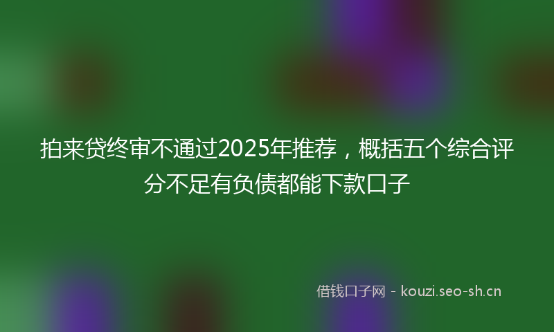 拍来贷终审不通过2025年推荐，概括五个综合评分不足有负债都能下款口子