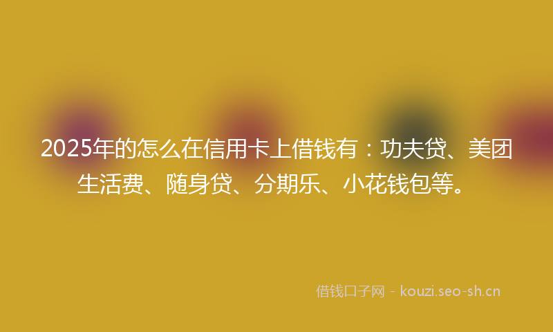 2025年的怎么在信用卡上借钱有：功夫贷、美团生活费、随身贷、分期乐、小花钱包等。