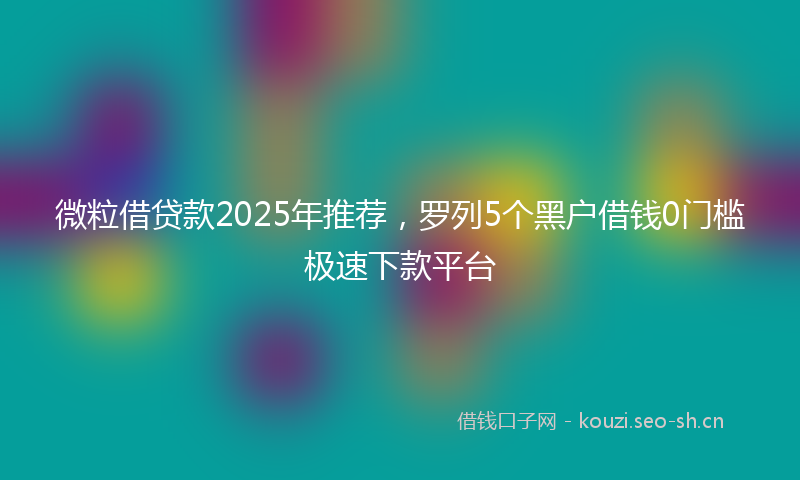 微粒借贷款2025年推荐，罗列5个黑户借钱0门槛极速下款平台
