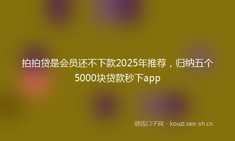 拍拍贷是会员还不下款2025年推荐，归纳五个5000块贷款秒下app