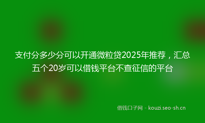 支付分多少分可以开通微粒贷2025年推荐，汇总五个20岁可以借钱平台不查征信的平台