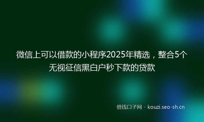 微信上可以借款的小程序2025年精选，整合5个无视征信黑白户秒下款的贷款
