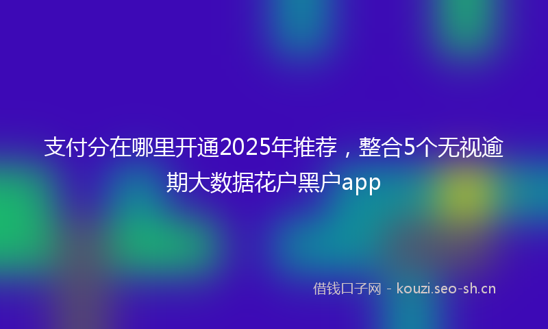 支付分在哪里开通2025年推荐，整合5个无视逾期大数据花户黑户app
