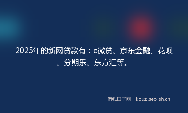 2025年的新网贷款有：e微贷、京东金融、花呗、分期乐、东方汇等。