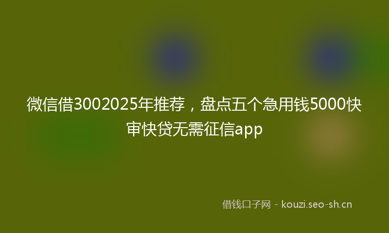 微信借3002025年推荐，盘点五个急用钱5000快审快贷无需征信app