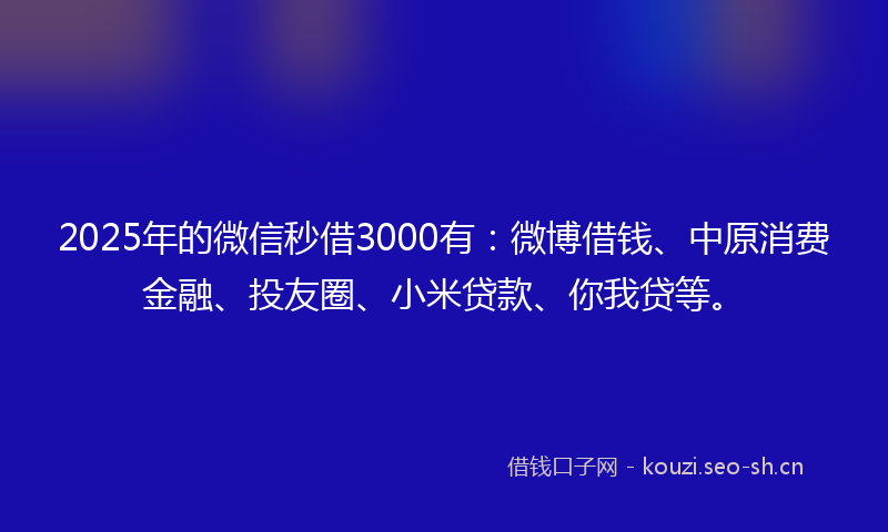 2025年的微信秒借3000有：微博借钱、中原消费金融、投友圈、小米贷款、你我贷等。