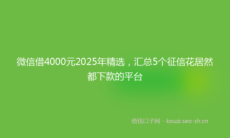 微信借4000元2025年精选，汇总5个征信花居然都下款的平台