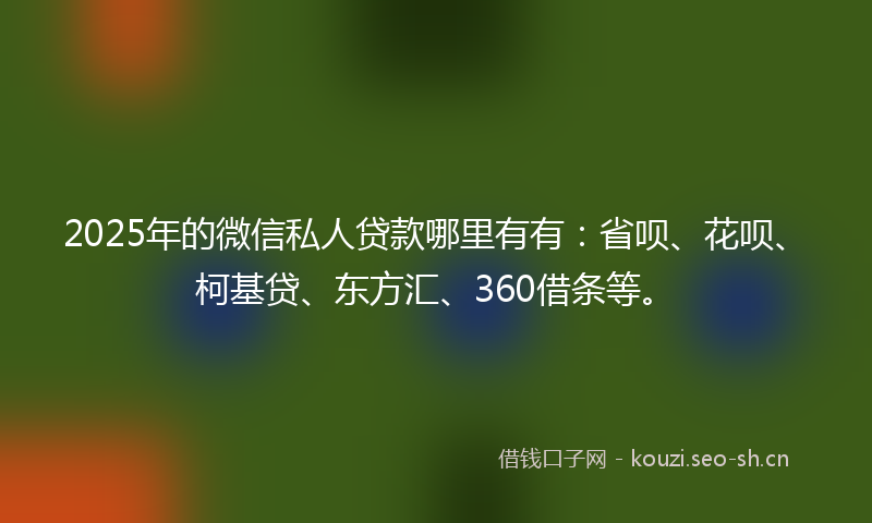 2025年的微信私人贷款哪里有有：省呗、花呗、柯基贷、东方汇、360借条等。