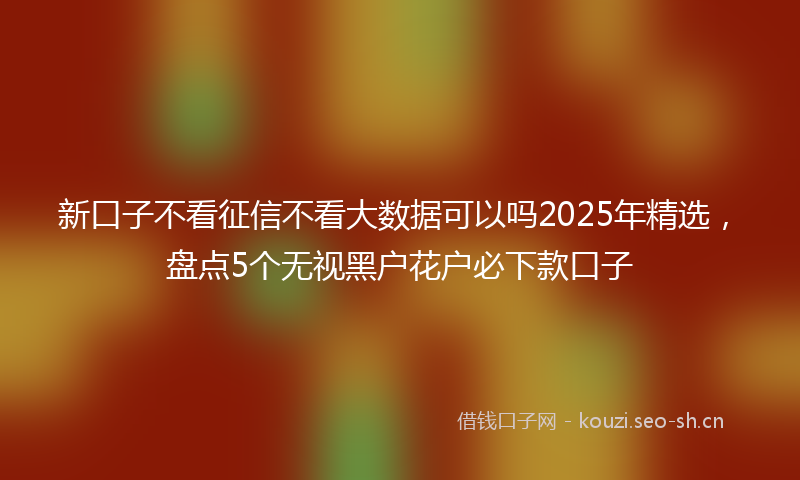 新口子不看征信不看大数据可以吗2025年精选，盘点5个无视黑户花户必下款口子