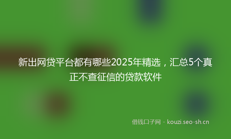 新出网贷平台都有哪些2025年精选，汇总5个真正不查征信的贷款软件