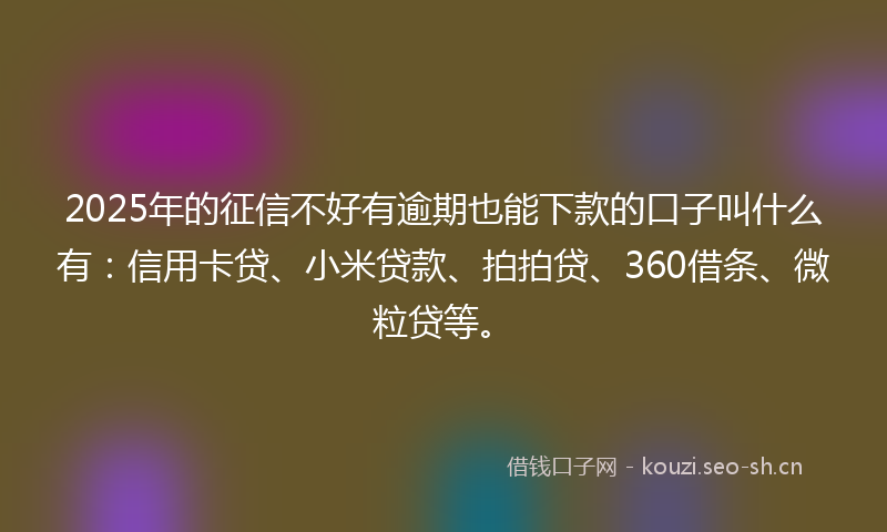 2025年的征信不好有逾期也能下款的口子叫什么有：信用卡贷、小米贷款、拍拍贷、360借条、微粒贷等。