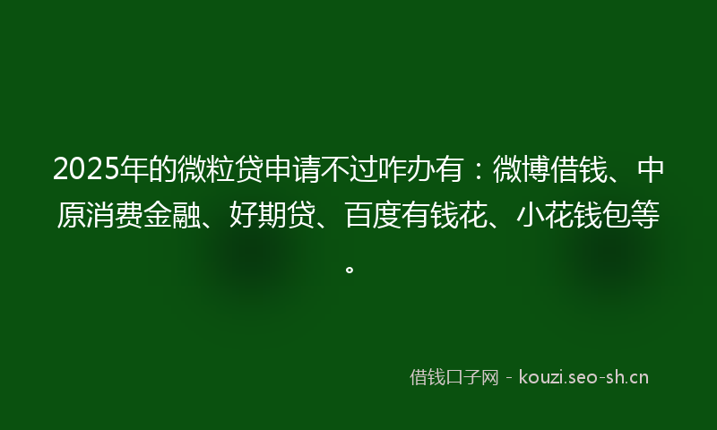 2025年的微粒贷申请不过咋办有：微博借钱、中原消费金融、好期贷、百度有钱花、小花钱包等。