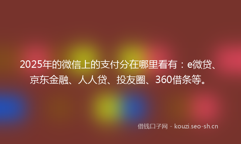 2025年的微信上的支付分在哪里看有：e微贷、京东金融、人人贷、投友圈、360借条等。