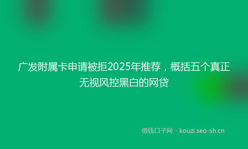 广发附属卡申请被拒2025年推荐，概括五个真正无视风控黑白的网贷