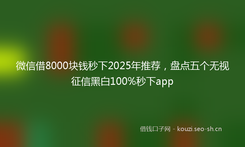 微信借8000块钱秒下2025年推荐，盘点五个无视征信黑白100%秒下app