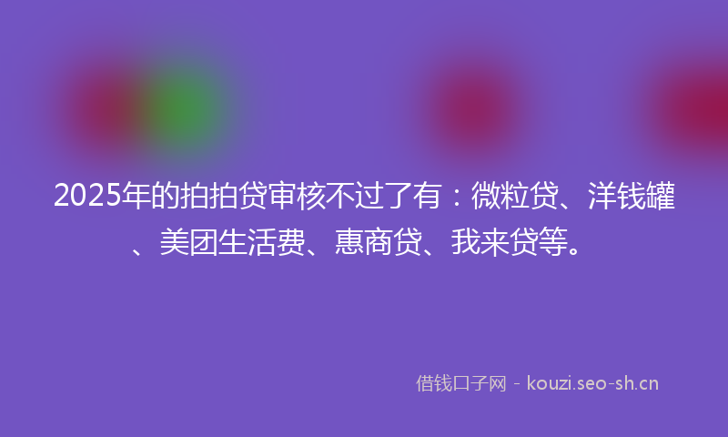 2025年的拍拍贷审核不过了有：微粒贷、洋钱罐、美团生活费、惠商贷、我来贷等。