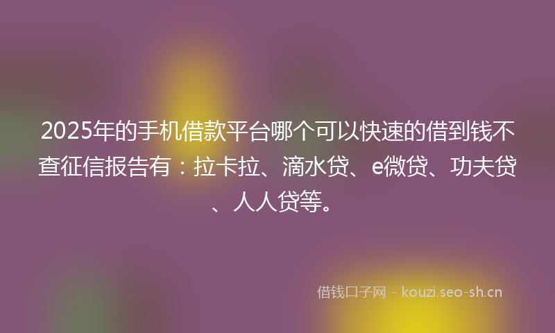 2025年的手机借款平台哪个可以快速的借到钱不查征信报告有：拉卡拉、滴水贷、e微贷、功夫贷、人人贷等。