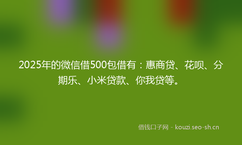 2025年的微信借500包借有：惠商贷、花呗、分期乐、小米贷款、你我贷等。