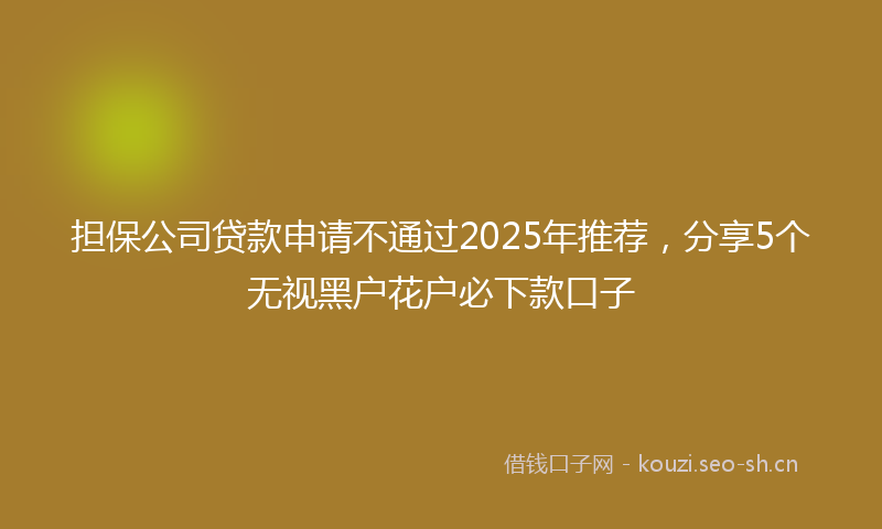 担保公司贷款申请不通过2025年推荐，分享5个无视黑户花户必下款口子