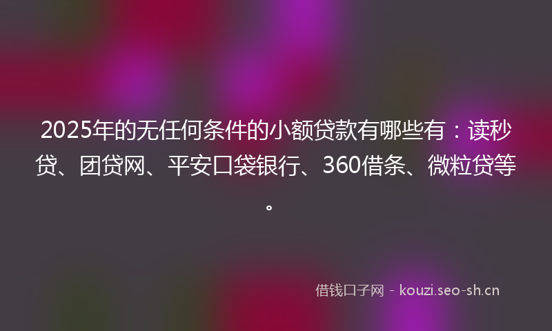 2025年的无任何条件的小额贷款有哪些有：读秒贷、团贷网、平安口袋银行、360借条、微粒贷等。