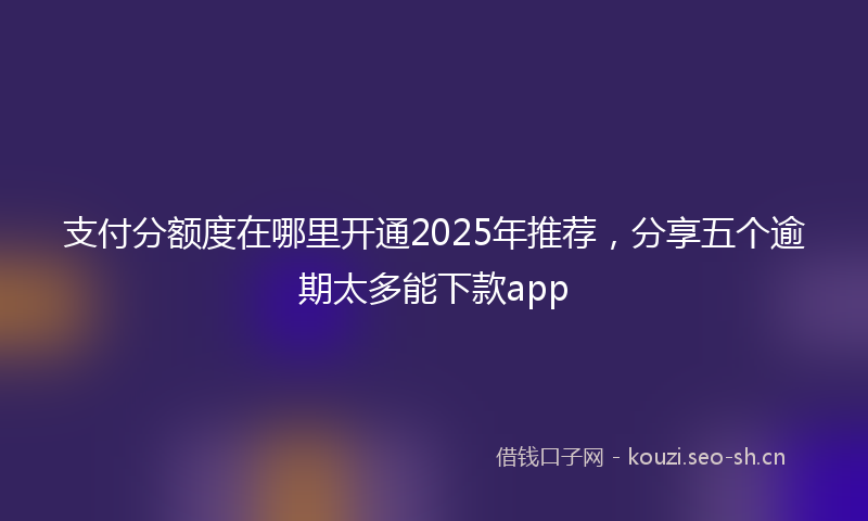 支付分额度在哪里开通2025年推荐，分享五个逾期太多能下款app