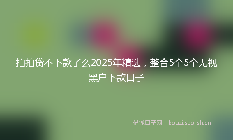 拍拍贷不下款了么2025年精选，整合5个5个无视黑户下款口子