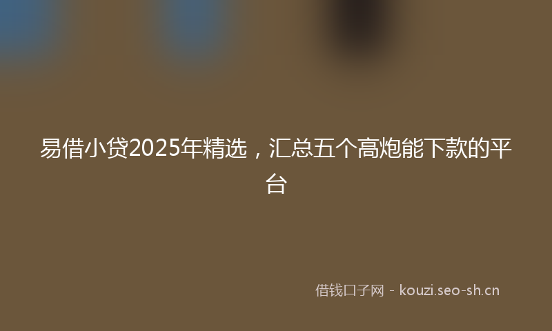 易借小贷2025年精选，汇总五个高炮能下款的平台