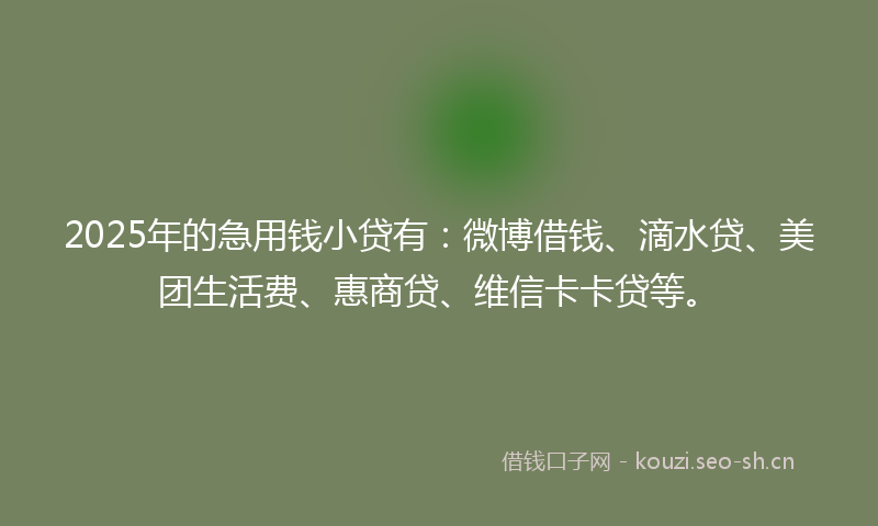 2025年的急用钱小贷有：微博借钱、滴水贷、美团生活费、惠商贷、维信卡卡贷等。