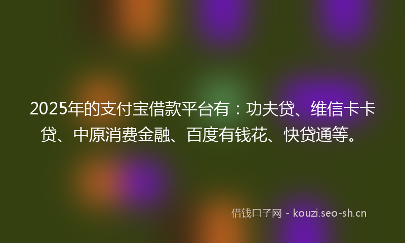 2025年的支付宝借款平台有:功夫贷、维信卡卡贷、中原消费金融、百度有钱花、快贷通等。